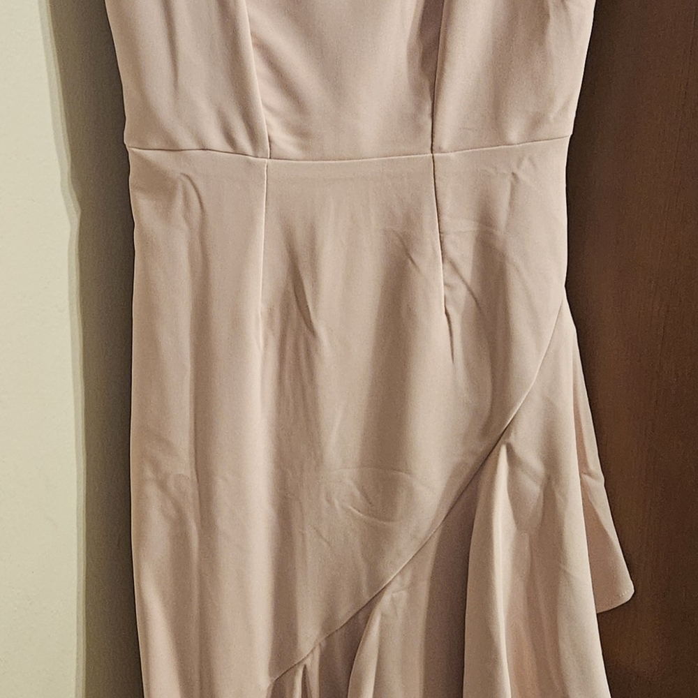 Elegant Strapless Blush Dress